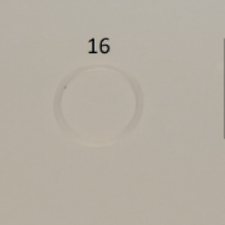 16.parça CHOP'N BLEND SMOOTHIE DOG CONTA