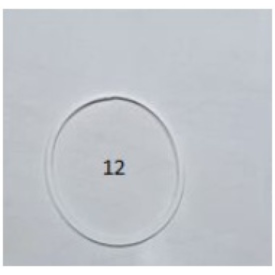 12.PARÇA TEA N MORE/CHAIWAN REZ. CONTASI