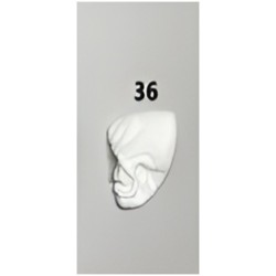 36.PARÇA SPOT CLEANER PR7020 BEZ