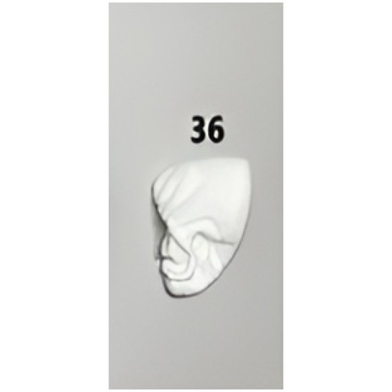 36.PARÇA SPOT CLEANER PR7020 BEZ